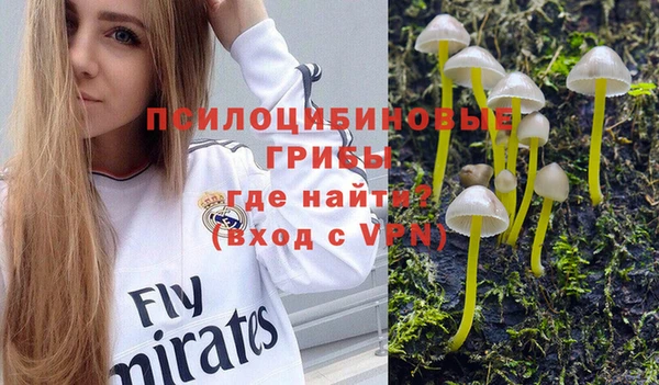 гашиш Аркадак