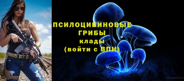 прущая мука Арсеньев