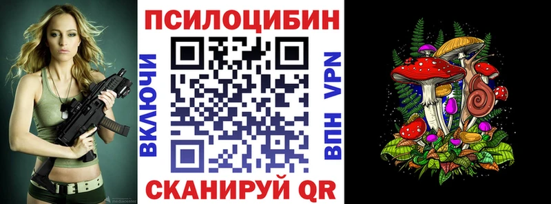 где можно купить   Куртамыш  Галлюциногенные грибы прущие грибы 